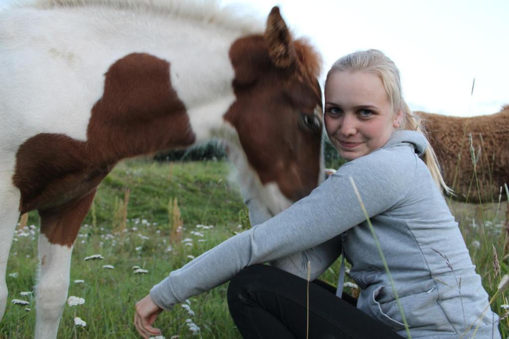 Skjaldarvik Guesthouse Akureyri Zewnętrze zdjęcie