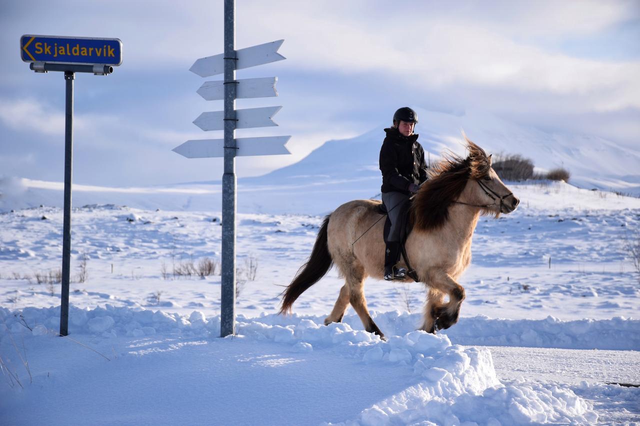 Skjaldarvik Guesthouse Akureyri Zewnętrze zdjęcie
