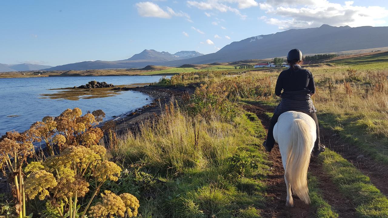 Skjaldarvik Guesthouse Akureyri Zewnętrze zdjęcie