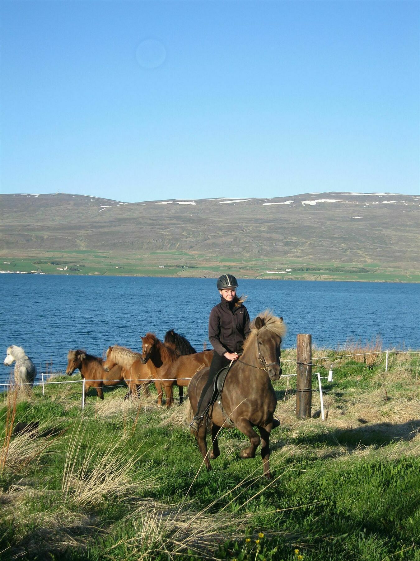 Skjaldarvik Guesthouse Akureyri Zewnętrze zdjęcie